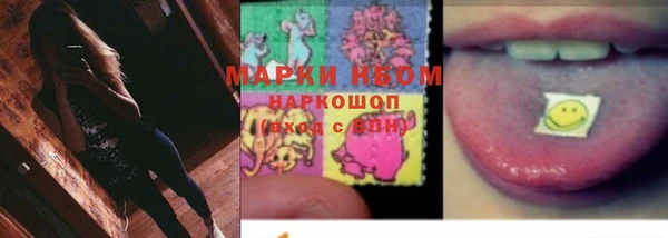 шишки Алзамай