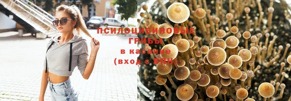 шишки Алзамай