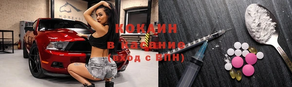 шишки Алзамай