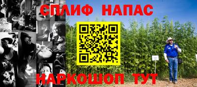 spice Севастополь