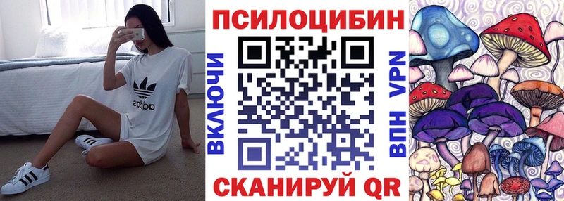 где можно купить   Тулун  Псилоцибиновые грибы Magic Shrooms 