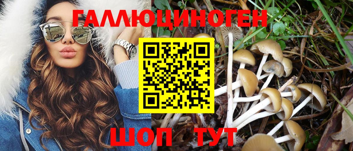 Псилоцибиновые грибы MAGIC MUSHROOMS Тулун
